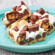 Reese's S'mores Graham Cracker Candy.