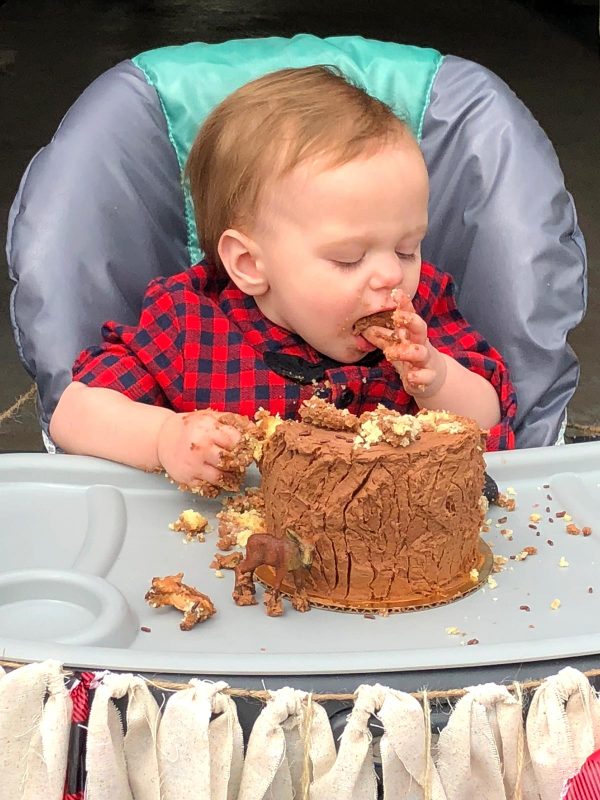 Tree Stump Smash Cake - no woodland creatures first birthday celebration would be complete without it.