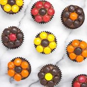 a flatlay of fall daisy mini cupcakes.