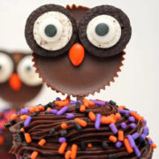 Reese's Owl Cupcakes.